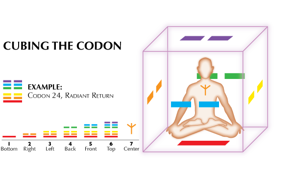 активация кодонов днк